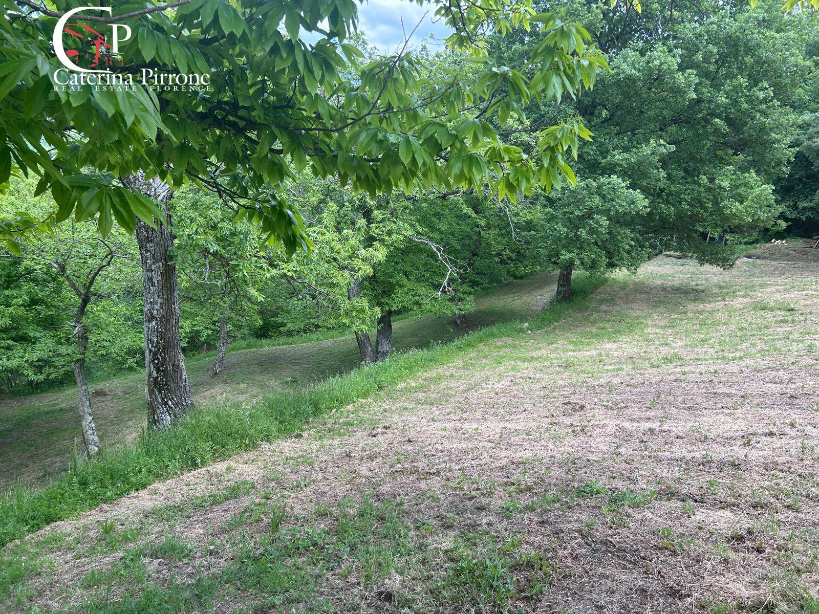 Rustico in vendita a San Godenzo