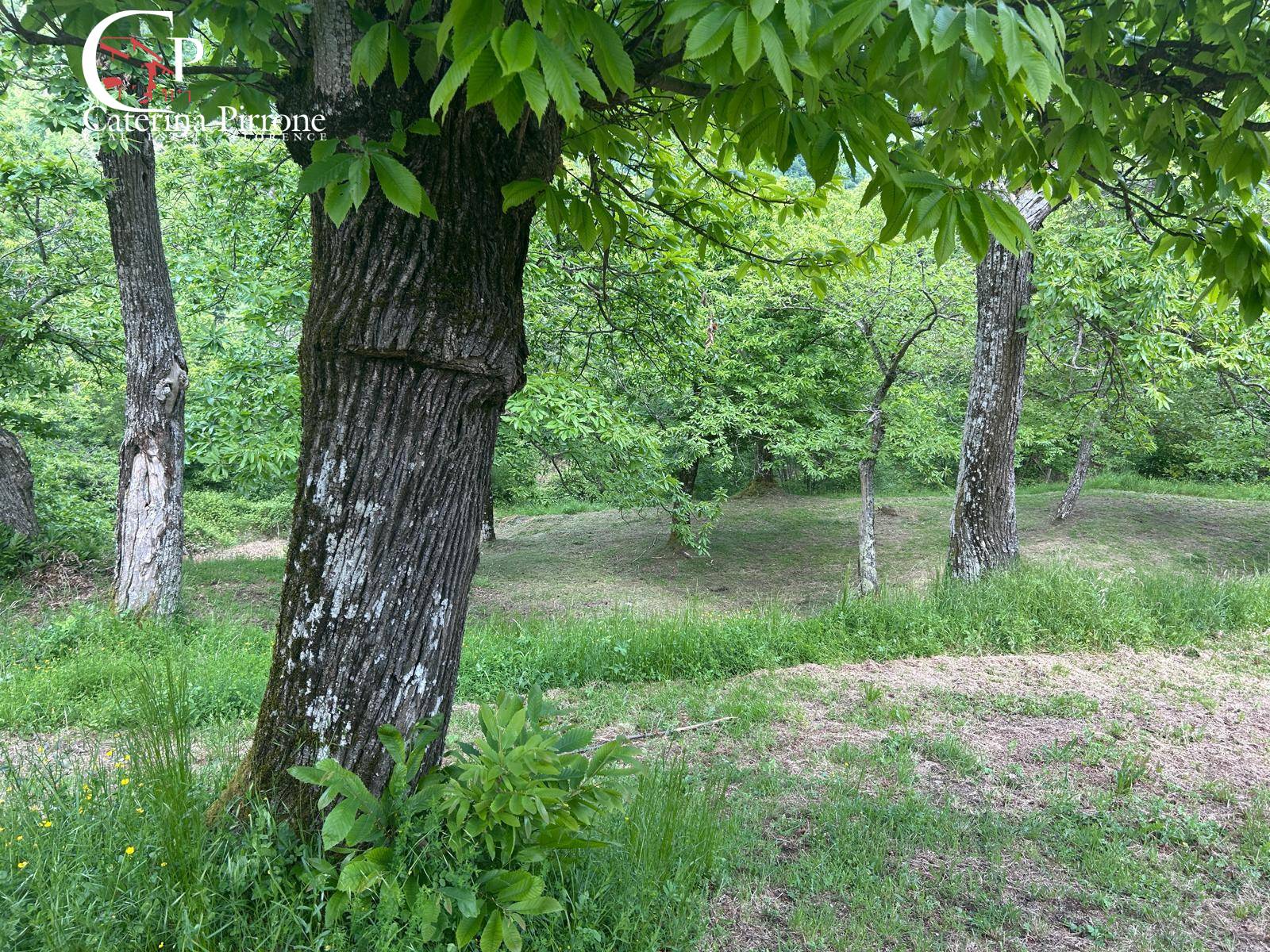 Rustico in vendita a San Godenzo