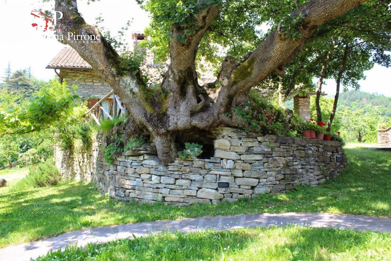 Colonica in vendita a Palazzuolo sul Senio, Passo Sambuca