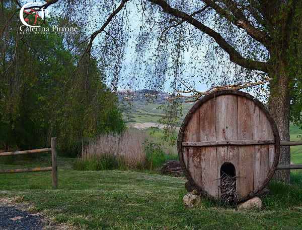 Villa in vendita a Volterra, Roncolla