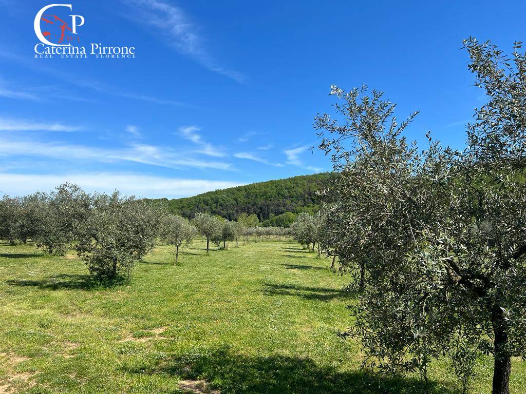 Villa in vendita a Gavorrano, Bagno di Gavorrano
