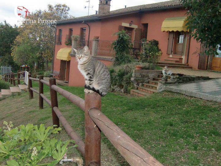 Villa in vendita a Castrocaro Terme e Terra del Sole