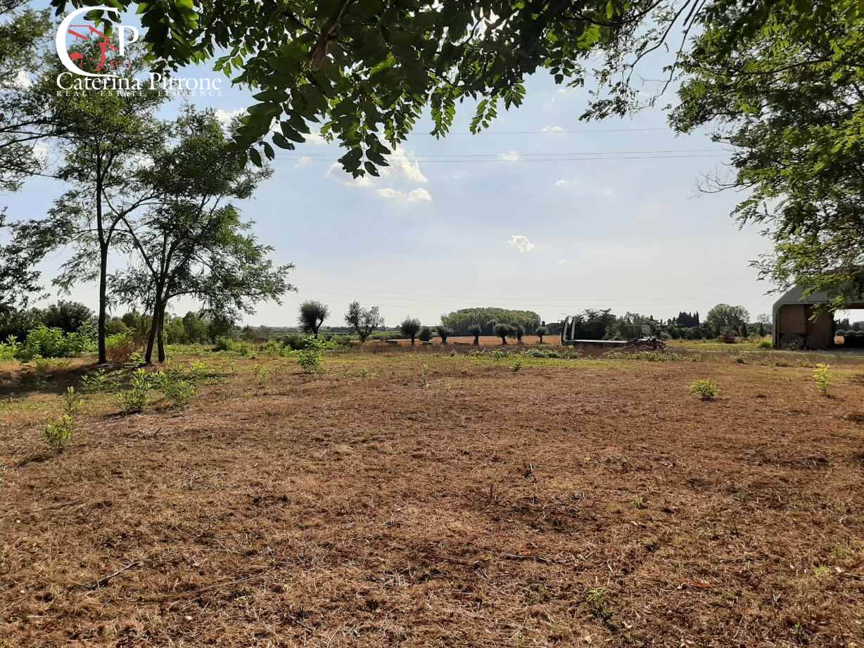 Rustico in vendita a Rosignano Marittimo, Vada