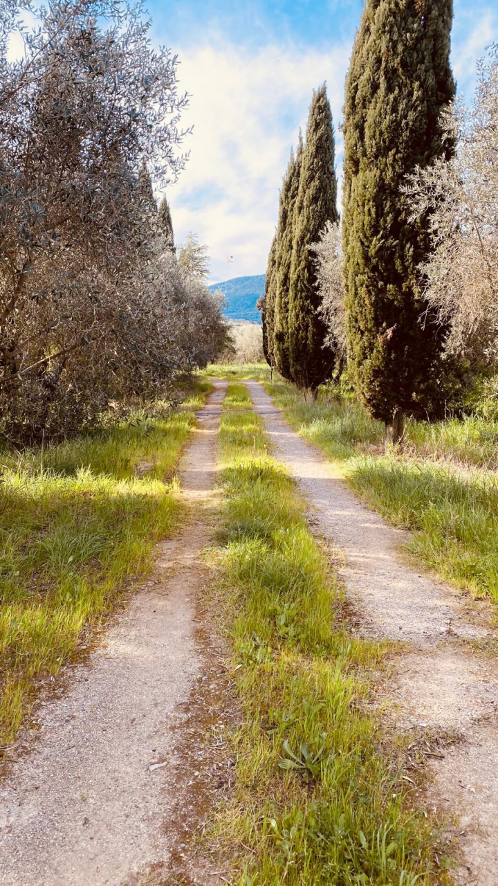 Terreno in vendita a Scarlino