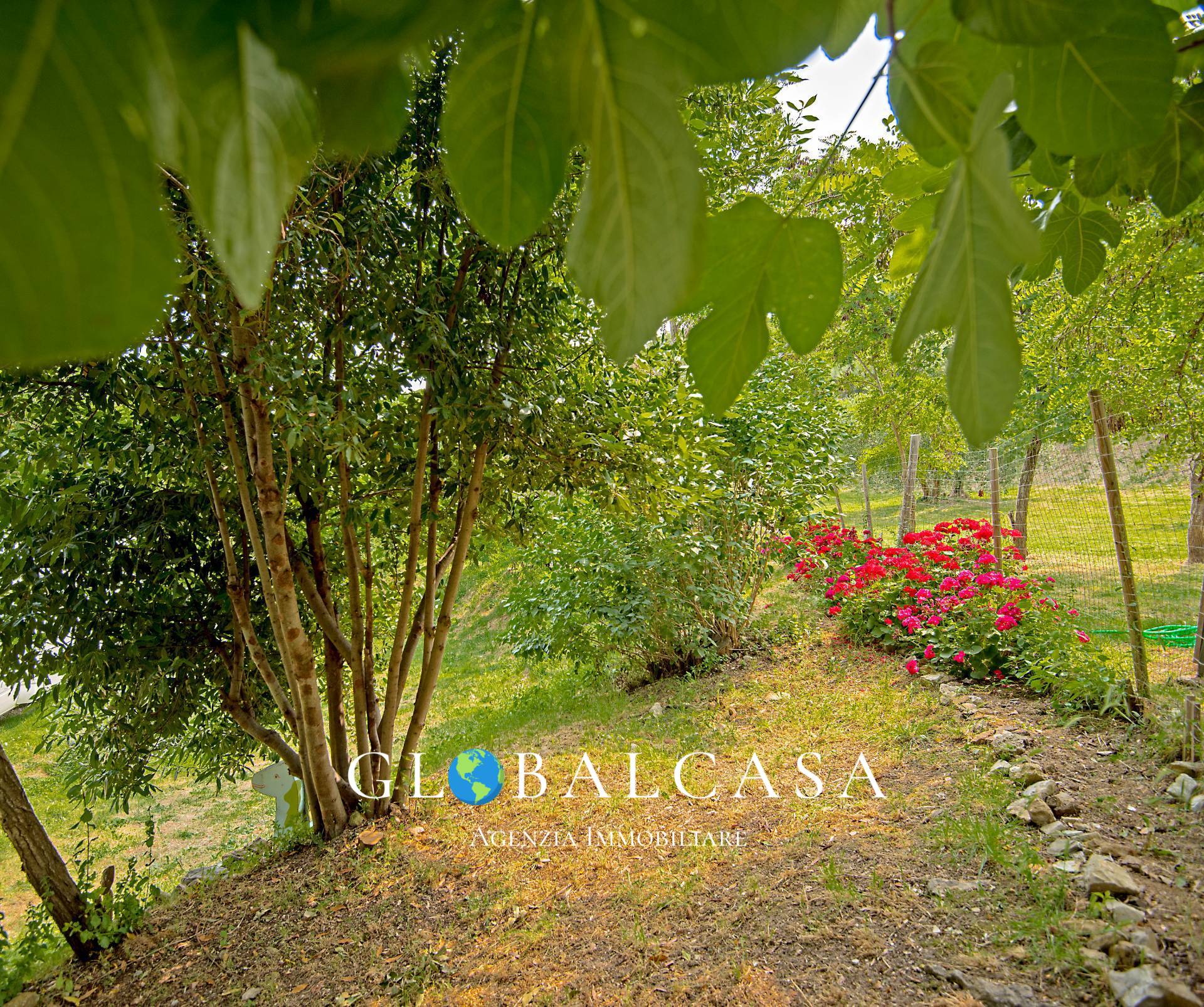 Cascina/Casale/Masseria in vendita a Scansano, Polveraia
