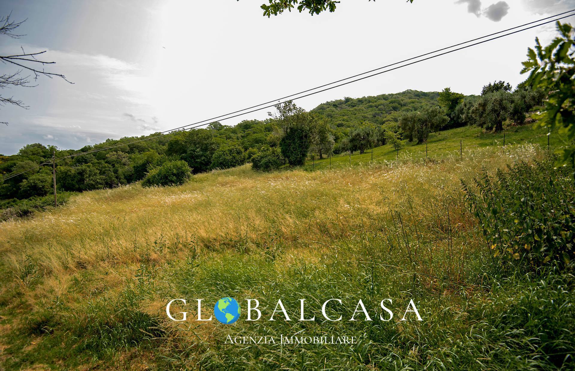 Cascina/Casale/Masseria in vendita a Scansano, Polveraia