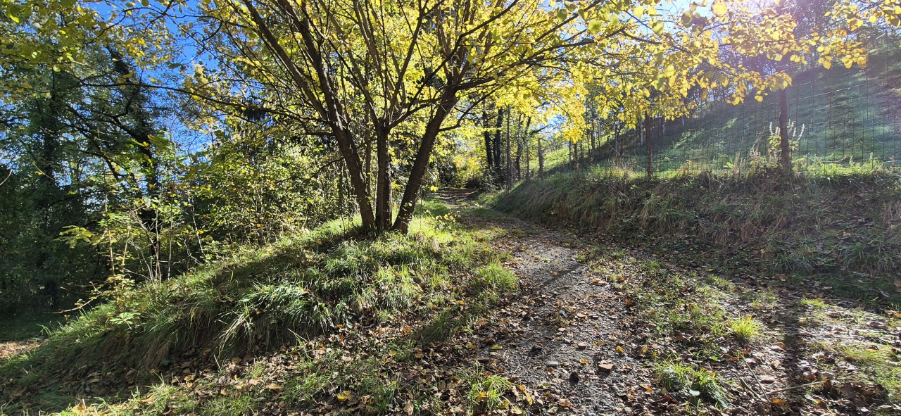 Casa indipendente con giardino in via navigliano, San Sebastiano da Po