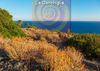 Rustico con giardino a Campo nell'Elba