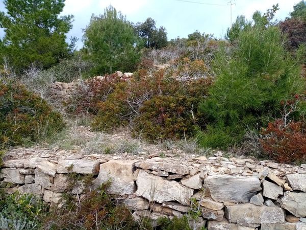 Terreno in vendita a Campo nell'Elba
