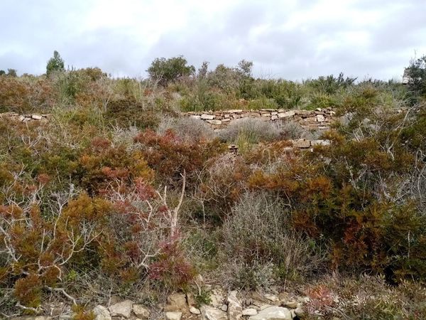 Terreno in vendita a Campo nell'Elba