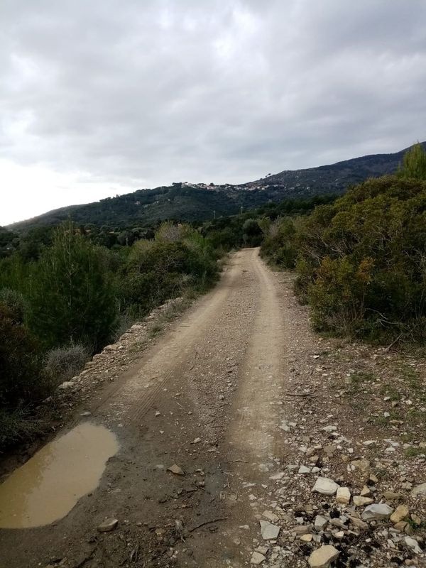 Terreno in vendita a Campo nell'Elba