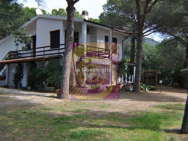 Villa con giardino a Capoliveri