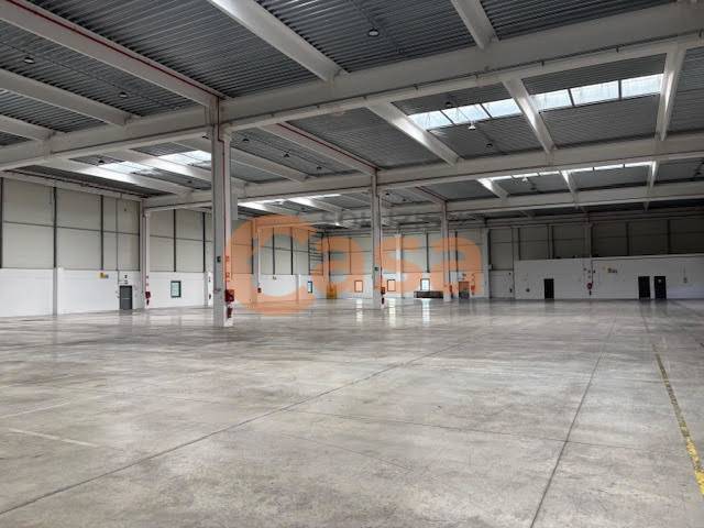 Magazzino in affitto a Castel San Giovanni