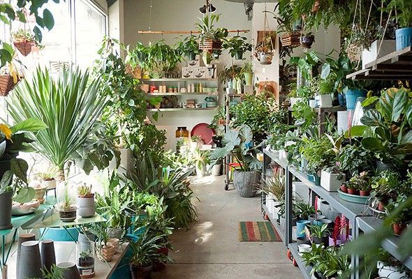 Trilocale nuovo in via roma, Brandico