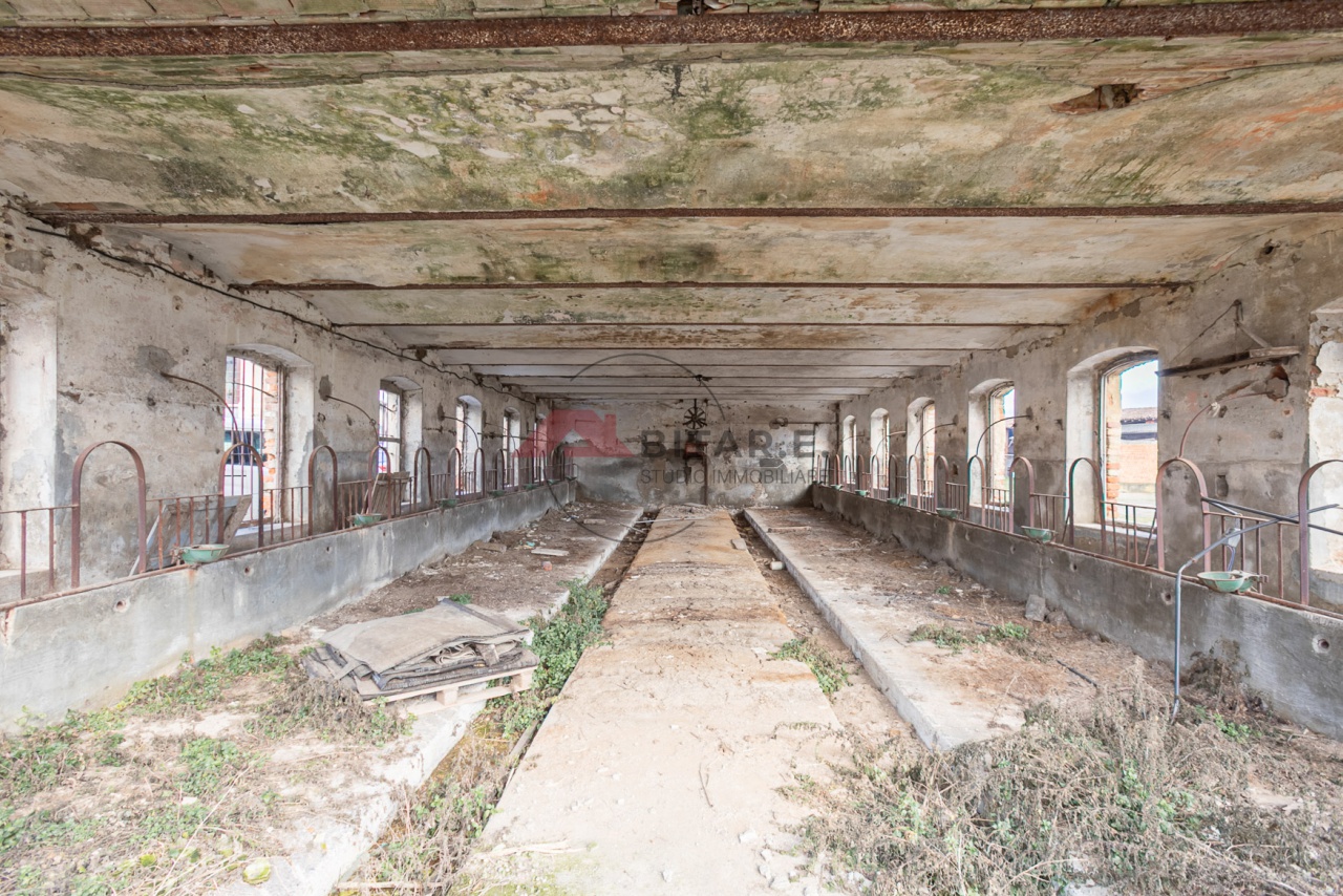 Rustico in vendita a Longhena