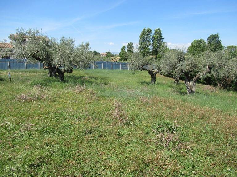 Terreno in vendita, Spoltore santa teresa