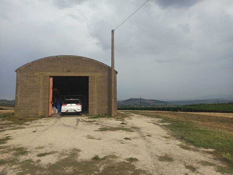 Terreno in vendita, Nocciano collina