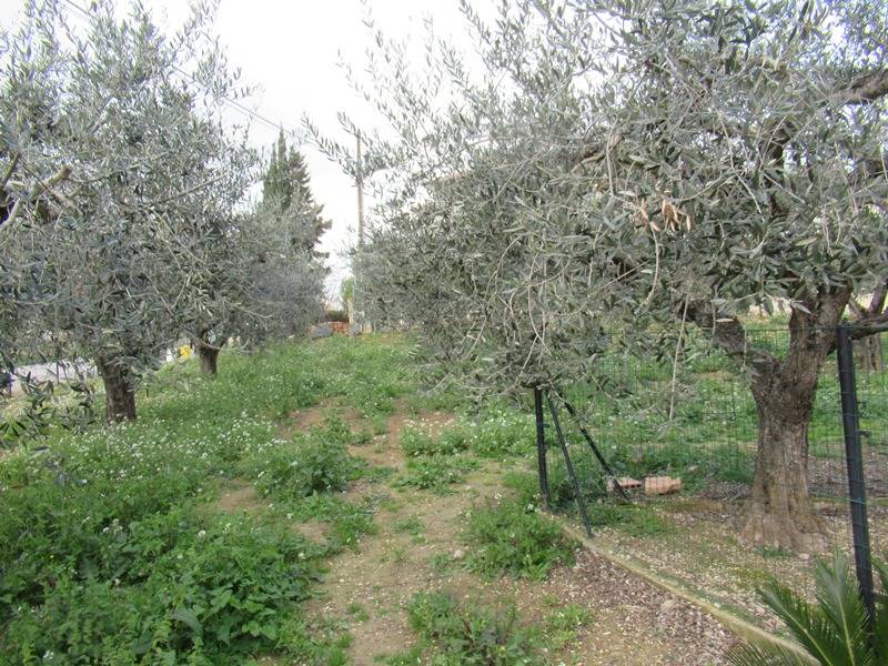 Casa singola in vendita a Spoltore, Santa Lucia