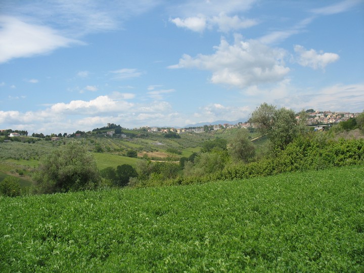 immagine annuncio 3 di 6