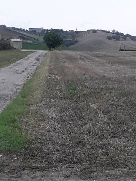 Terreno Agricolo in vendita a Nocciano, Collina