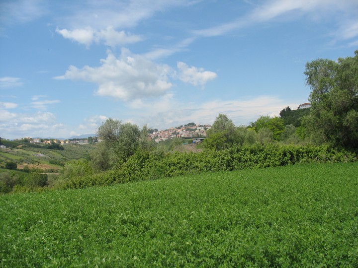 Terreno Agricolo in vendita a Spoltore, Villa Raspa