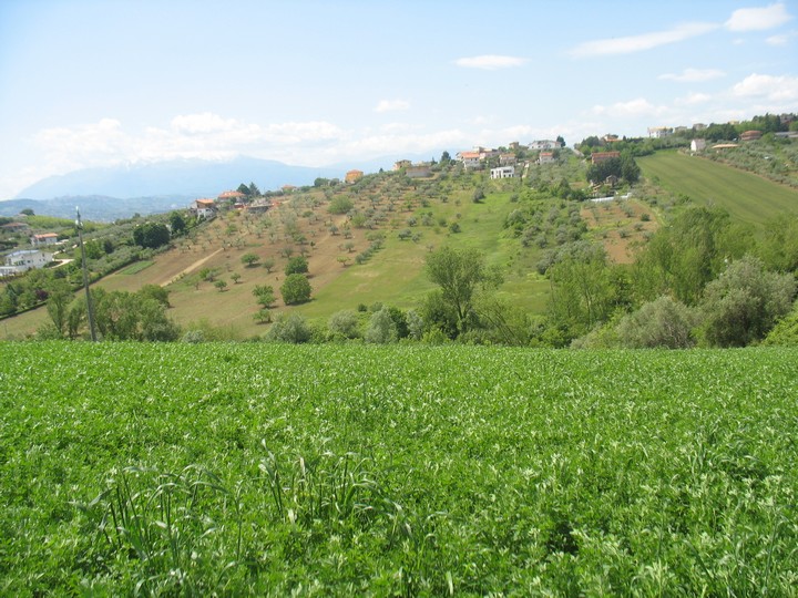 Terreno Agricolo in vendita a Spoltore, Villa Raspa