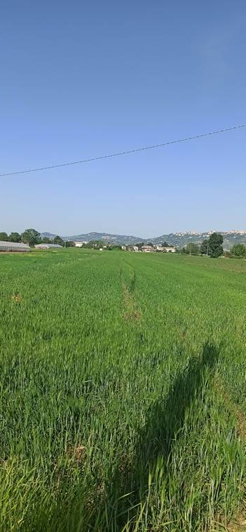 Terreno edificabile in vendita a Cepagatti, Villareia