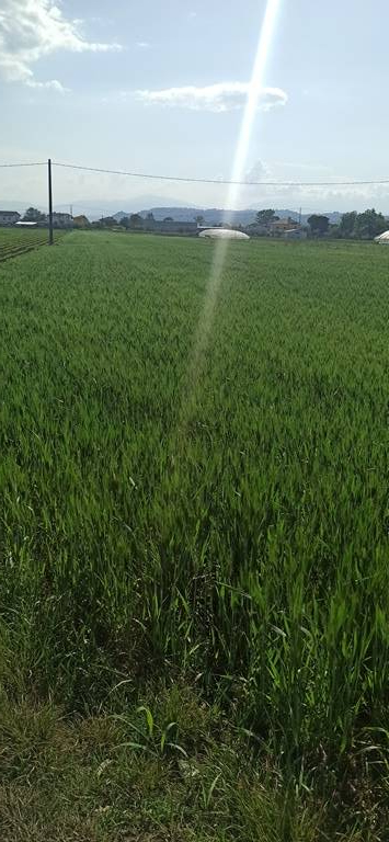 Terreno edificabile in vendita a Cepagatti, Villareia