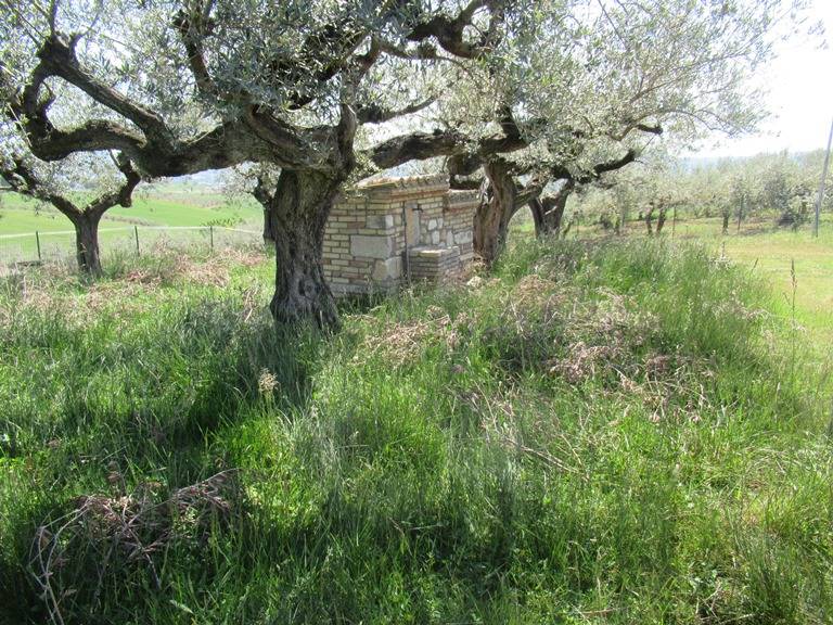Terreno edificabile in vendita a Spoltore, Santa Teresa