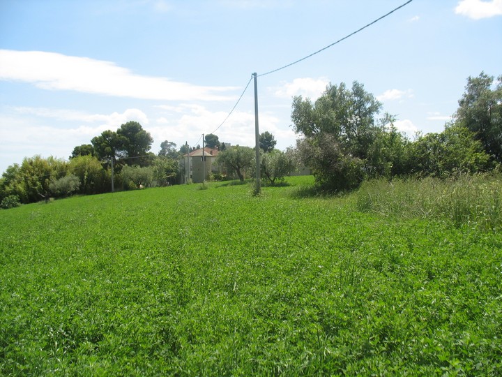 Terreno Agricolo in vendita a Spoltore, Villa Raspa