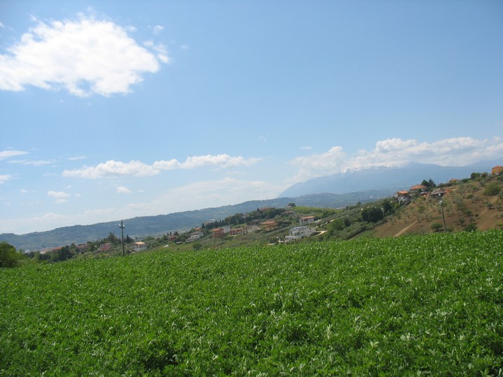 Terreno Agricolo in vendita a Spoltore, Villa Raspa