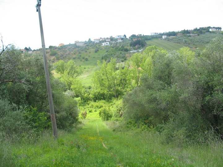 Terreno Agricolo in vendita a Spoltore, Villa Raspa
