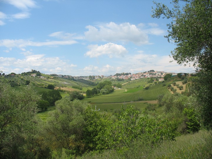 Terreno Agricolo in vendita a Spoltore, Villa Raspa