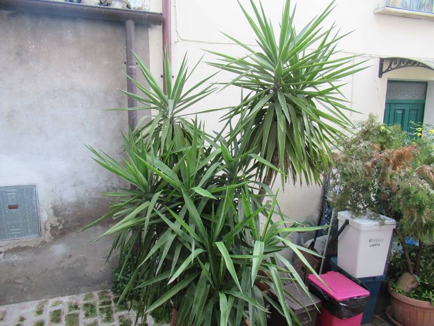 Casa affiancata in vendita a Spoltore, CENTRO