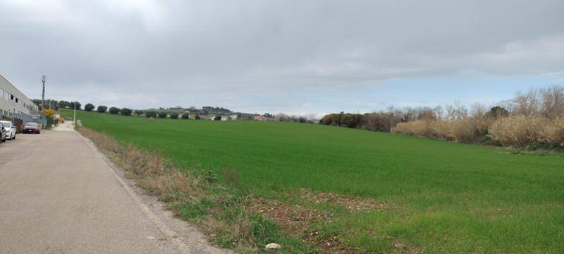 Terreno per attivita industriali-artigianali-commerciali in vendita a Spoltore, Villa Raspa