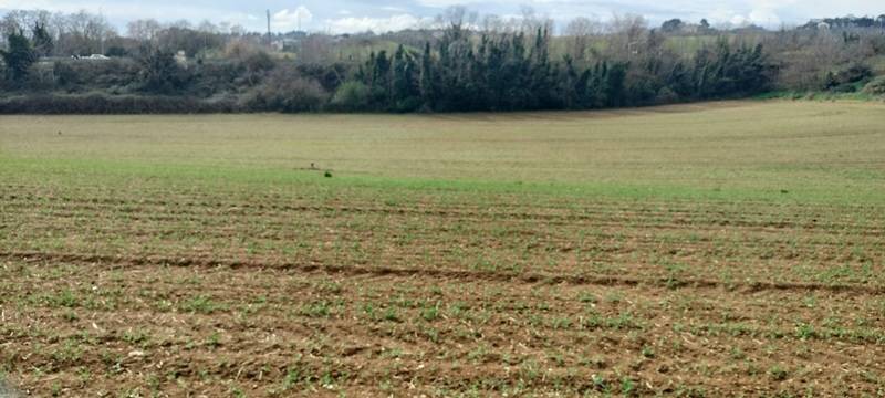 Terreno per attivita industriali-artigianali-commerciali in vendita a Spoltore, Villa Raspa