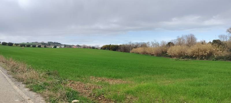 Terreno per attivita industriali-artigianali-commerciali in vendita a Spoltore, Villa Raspa