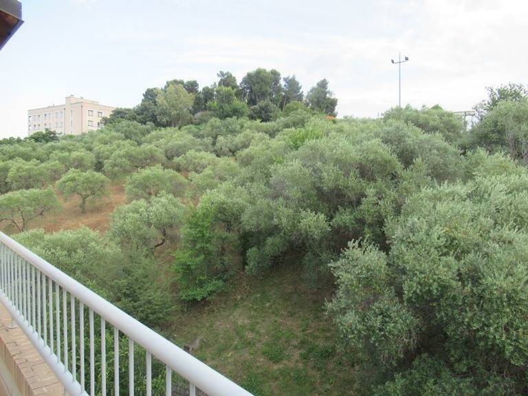 Appartamento in vendita a Spoltore, CENTRO