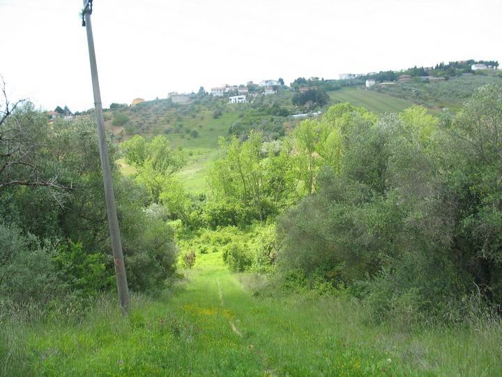 Terreno Agricolo in vendita a Spoltore, Villa Santa Maria