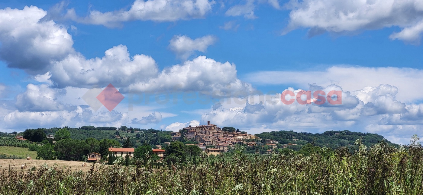 Terreno Agricolo in vendita a Bibbona