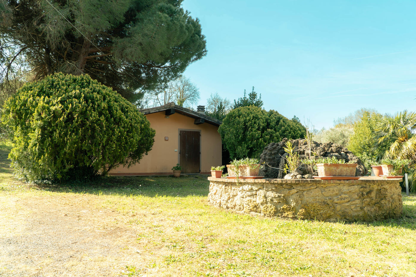 Appartamento in vendita a Bibbona