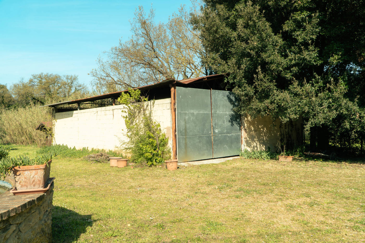 Appartamento in vendita a Bibbona