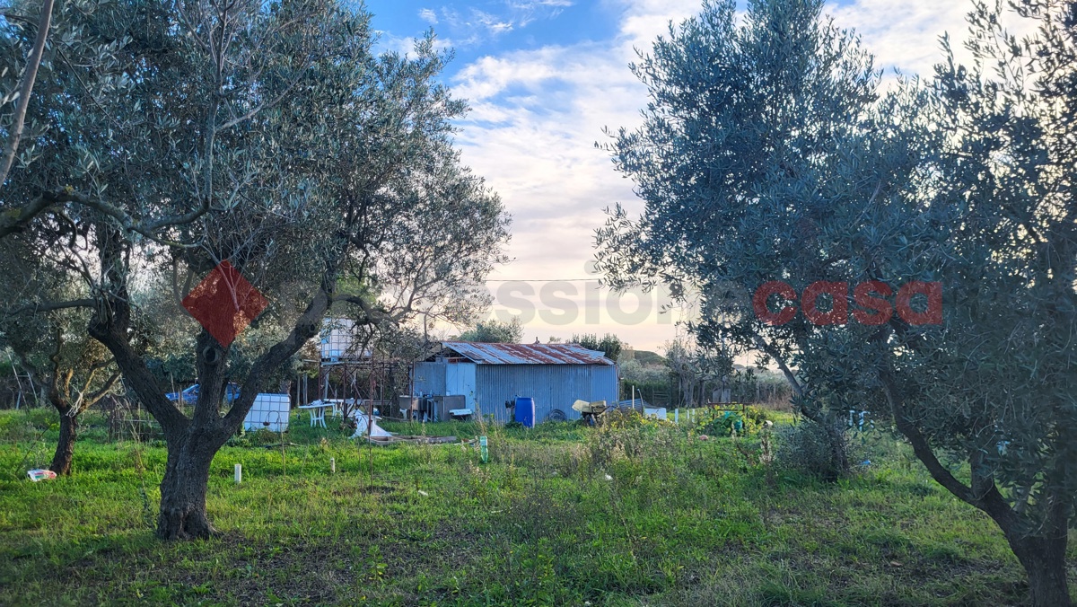 Magazzino in vendita a Cecina