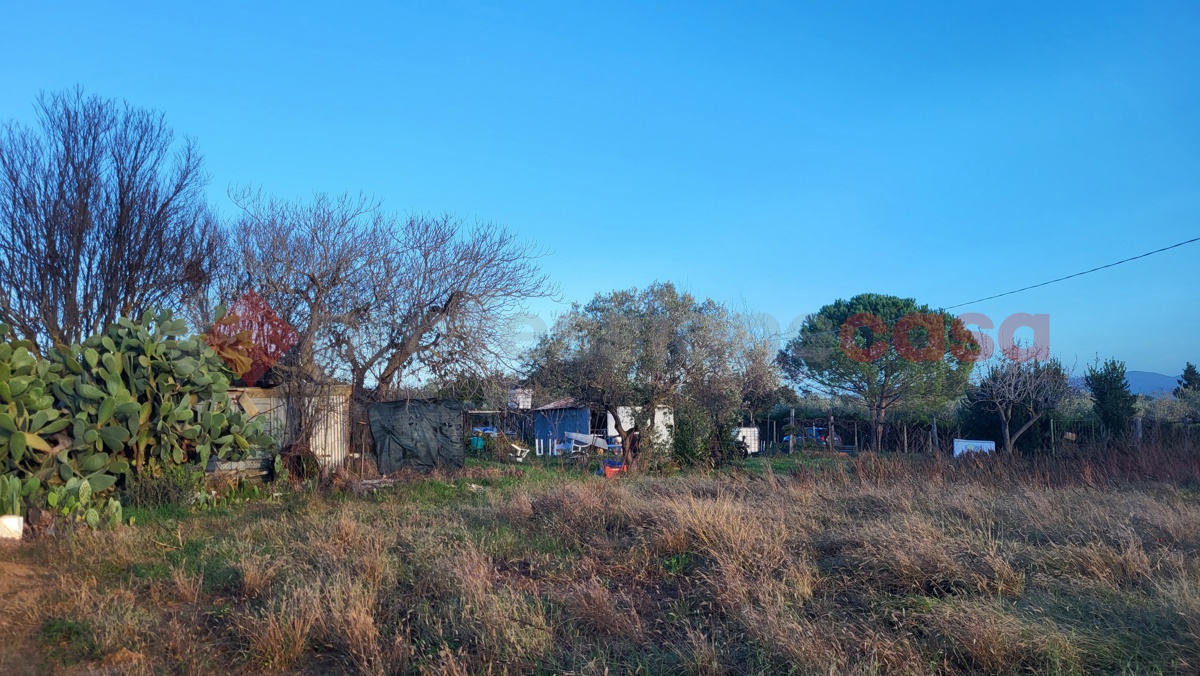 Magazzino in vendita a Cecina
