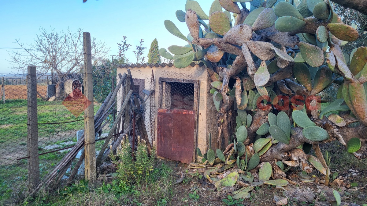 Magazzino in vendita a Cecina