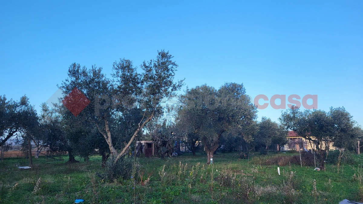 Magazzino in vendita a Cecina