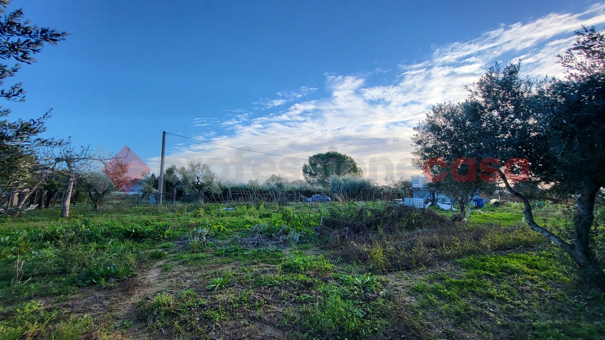 Magazzino in vendita a Cecina