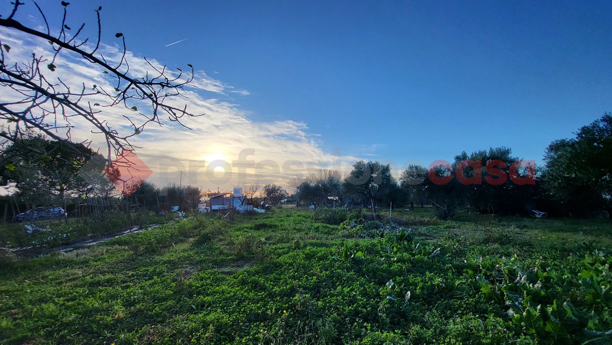 Magazzino in vendita a Cecina