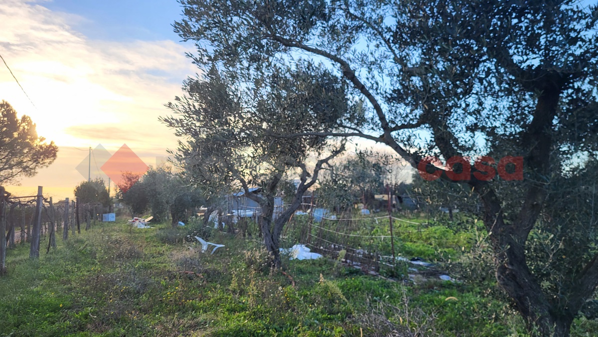 Magazzino in vendita a Cecina