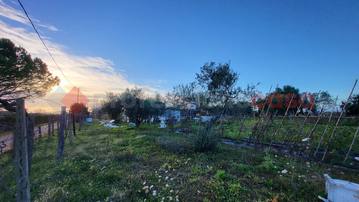 Magazzino in vendita a Cecina
